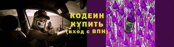 прущие крисы Рославль