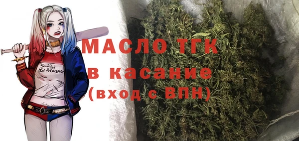 индика Белокуриха